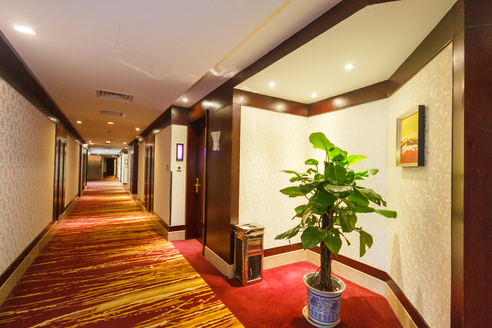 Peacock HotelOver view