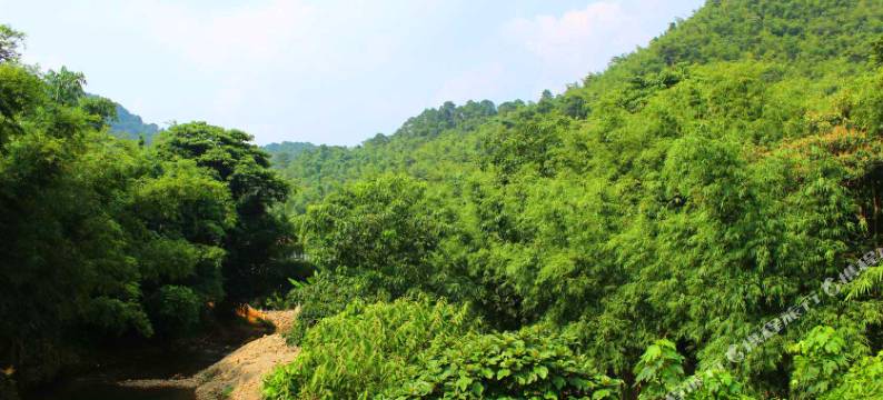 清远来来山庄住宿图片