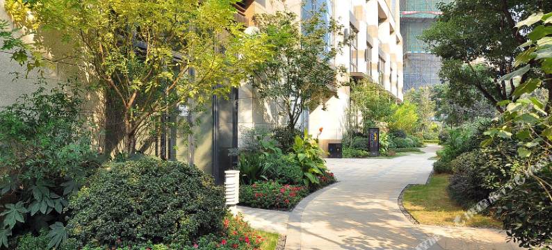 长沙鼎成民宿(德思勤城市广场店)图片