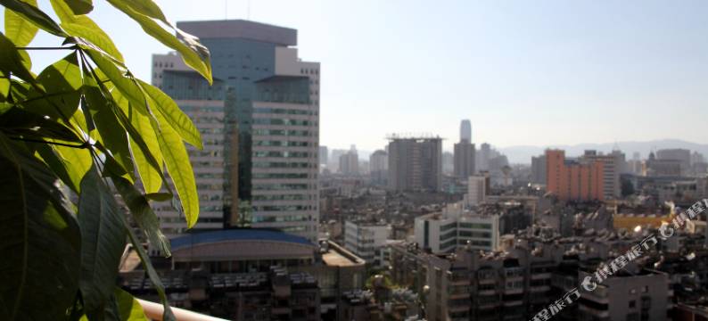 昆明流浪猫念夏火车站店图片