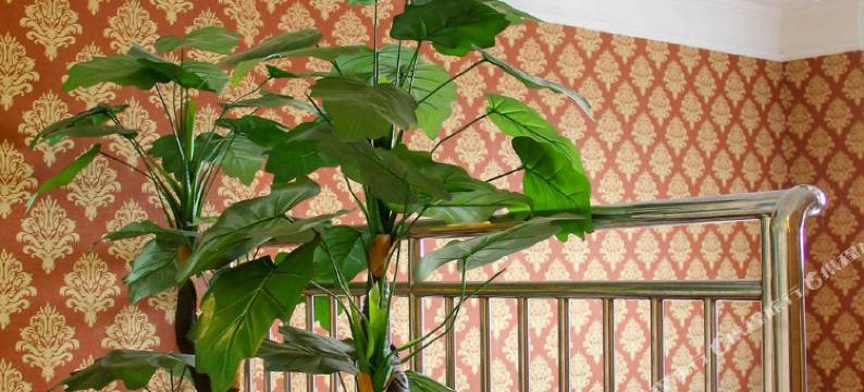 青岛莱客商务酒店图片