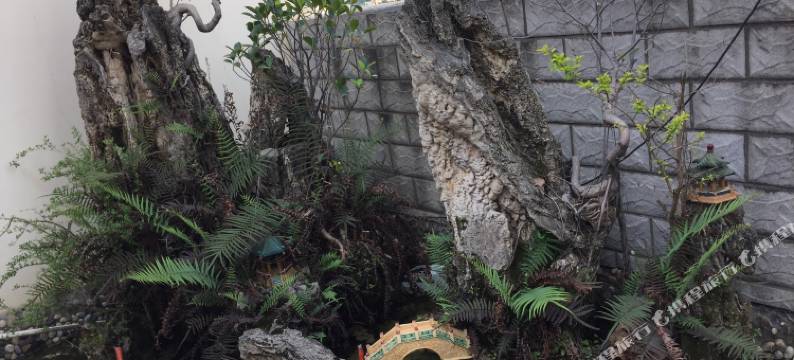 桂林520客栈图片