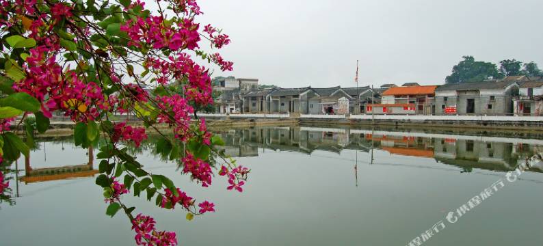 恩平歇马举人村酒店图片