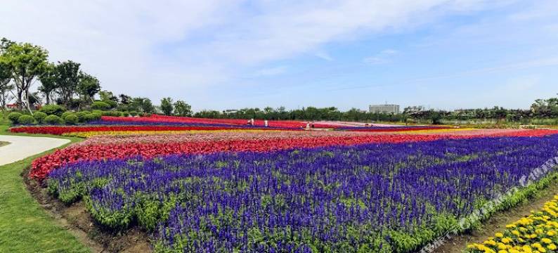 锦华酒店(上海周浦繁荣路地铁站店)图片