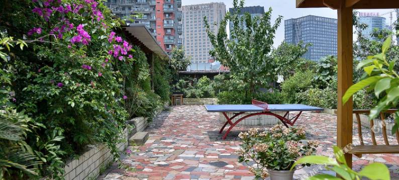 金阳光商务酒店(成都华西医院店)图片