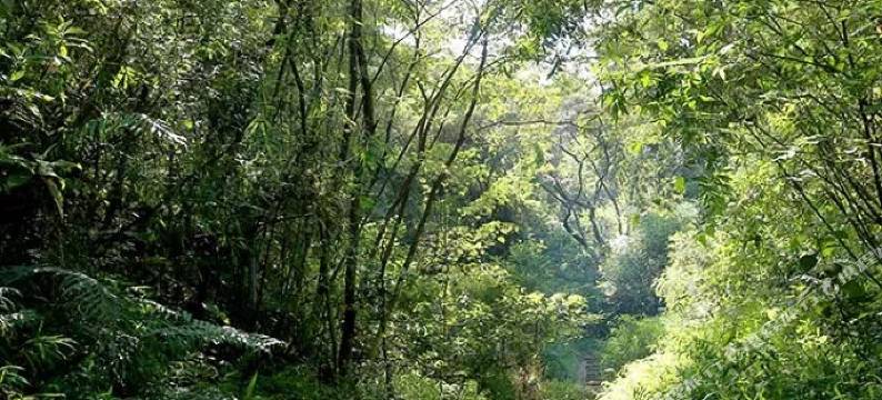 龙门瀚名居温泉别墅图片