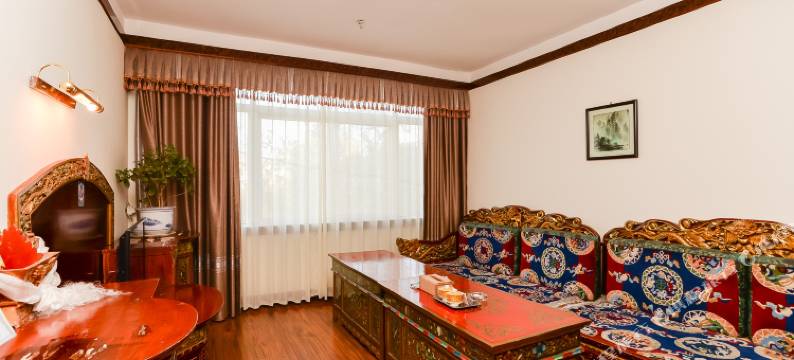 帝人酒店(拉萨布达拉宫店)图片