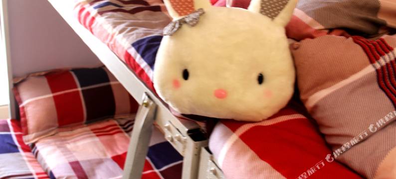 昆明流浪猫念夏火车站店图片