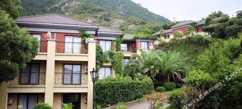 舟山桃花安期谷山庄图片