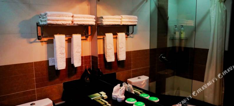 天全鹿鸣酒店图片