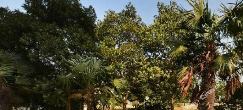 海宁花园酒店图片