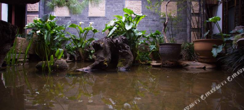 丽江醉文苑客栈图片