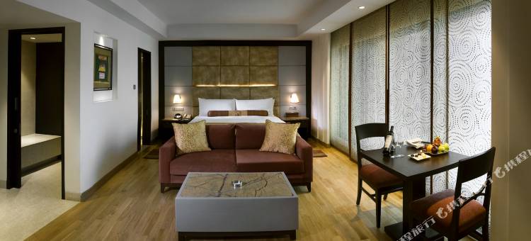 拉利特新德里(The Lalit New Delhi)图片