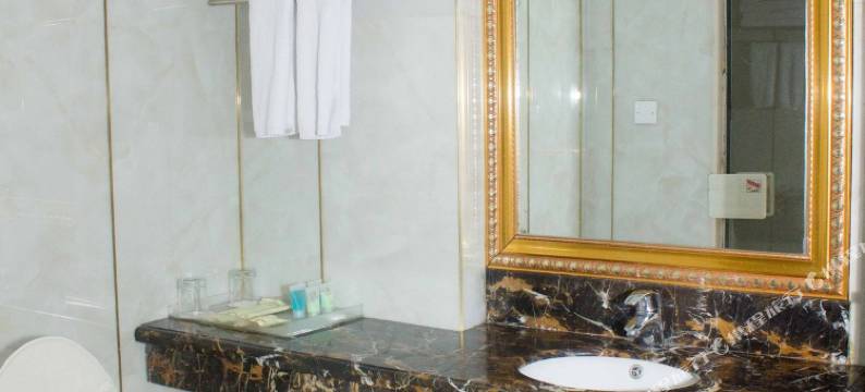 广州龙珠骊骏大酒店图片