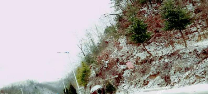 栾川雪中情山庄图片