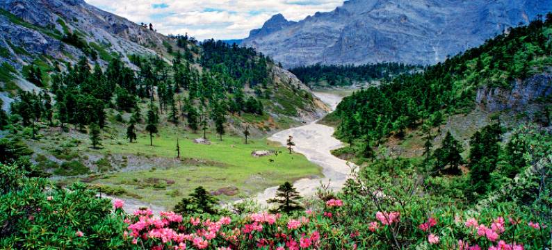 香格里拉巴拉格宗水庄大酒店图片