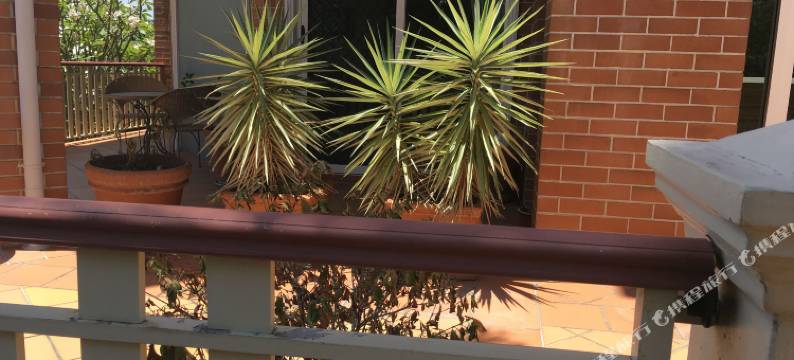 城市公园公寓酒店(City Park Apartments)图片