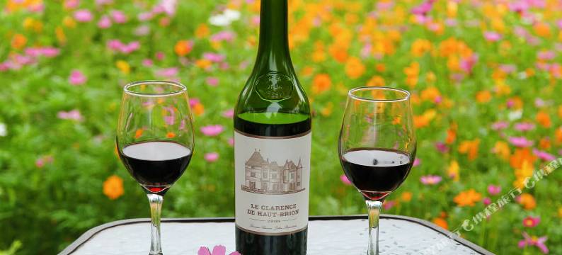 阳朔花田海·壹號莊園图片