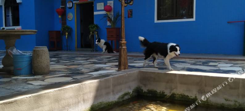 深圳潇湘文化民宿图片