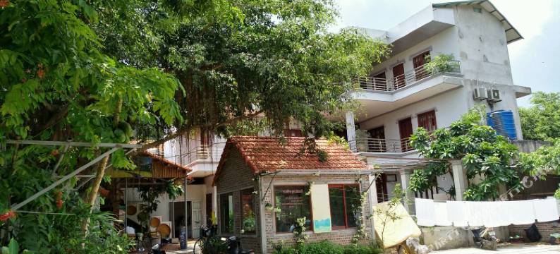 团尼哥可酒店(Tuan Ngoc Hotel)图片