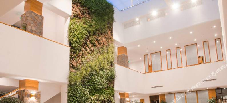 夏宫酒店(栾川老君山鸾洲渡假日小镇店)图片