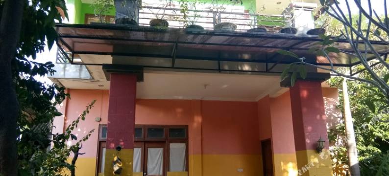 阿洛拉旅馆(Alola Inn)图片