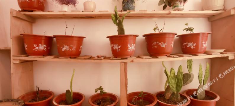 大峡谷玻璃酒店图片