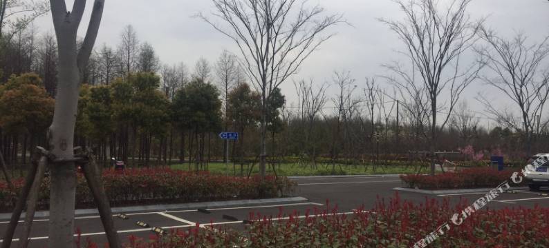 上海星语馨苑-栈(周川公路分店)图片