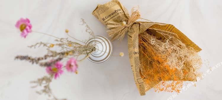 成都远方的家民宿图片