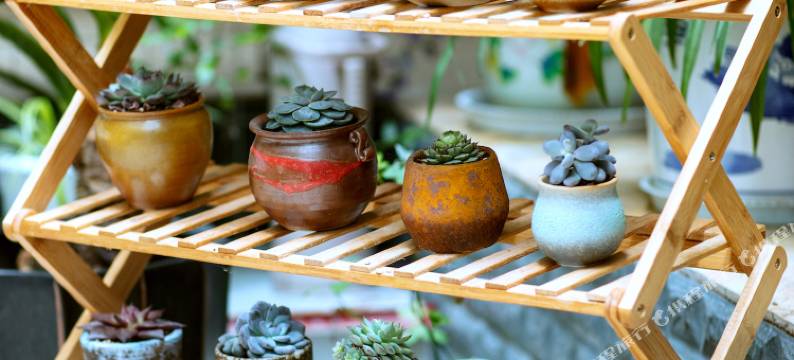 丽江舒服家酒店图片