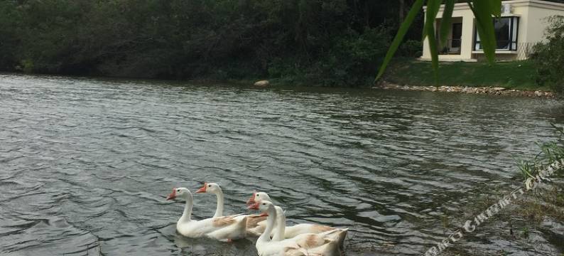 三亚万科湖畔墨缘度假村图片