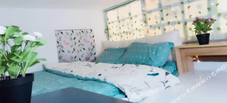 深圳木木猫舍复式图片