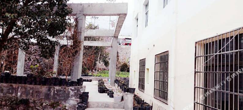 汉源花果缘农舍图片