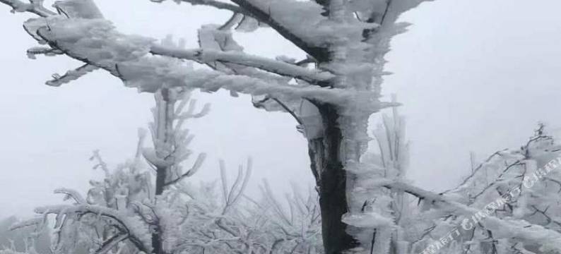 衡阳oyly99普通公寓图片