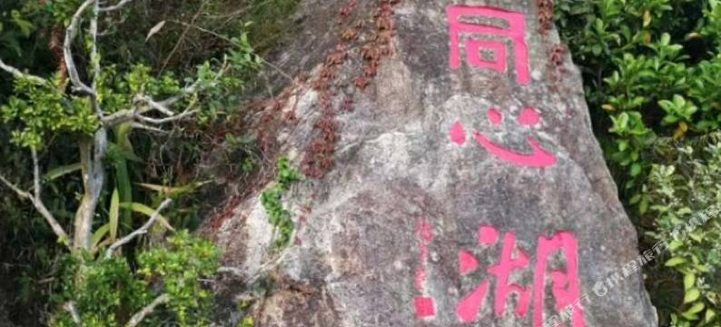 南澳爱来林山庄(黄花山海岛森林公园店)图片