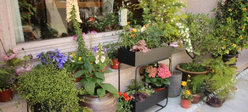 雁荡山栖溪里舍图片