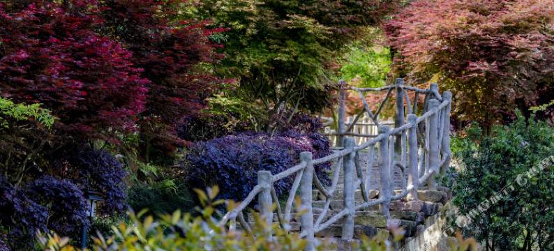 武夷山嘉叶山舍(福莲茶庄园店)图片