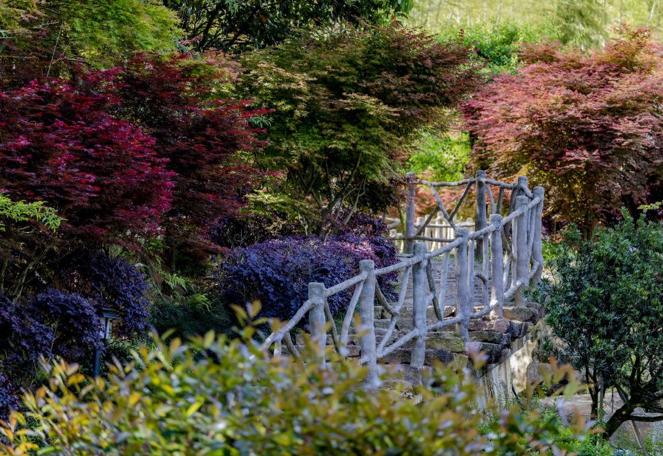 Wuyishan Jiaye Shanshe (Fulian Tea Manor Store) Hotel Overview