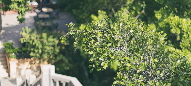 聆感·聆海1919海景别墅酒店(鼓浪屿日光岩店)图片