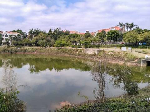 清远碧桂园假日半岛花园别墅