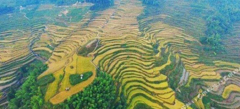 云和丰韵农家图片