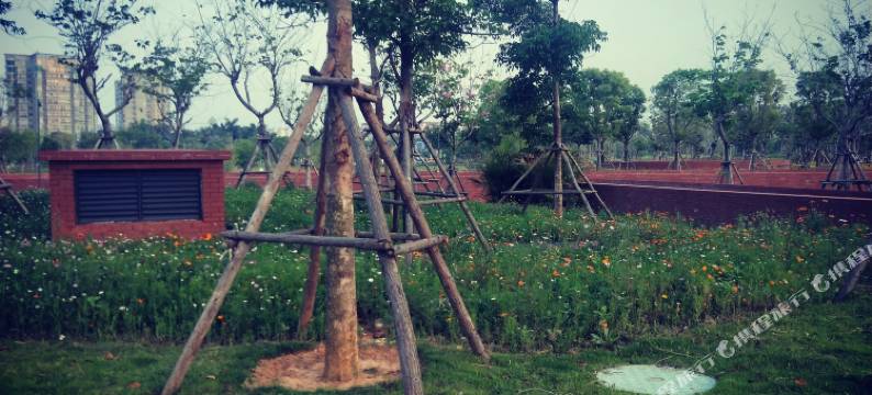 厦门庭丽景便捷公寓图片