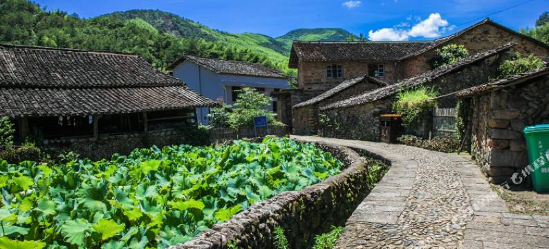 景宁尚礼居民宿图片