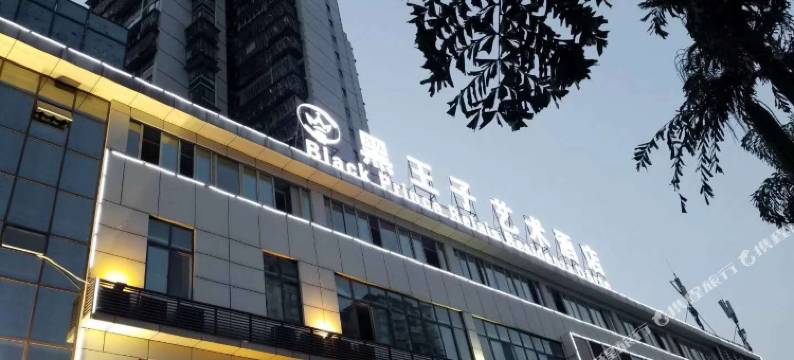 黑王子艺术酒店(泸州龙马潭区政府店)图片