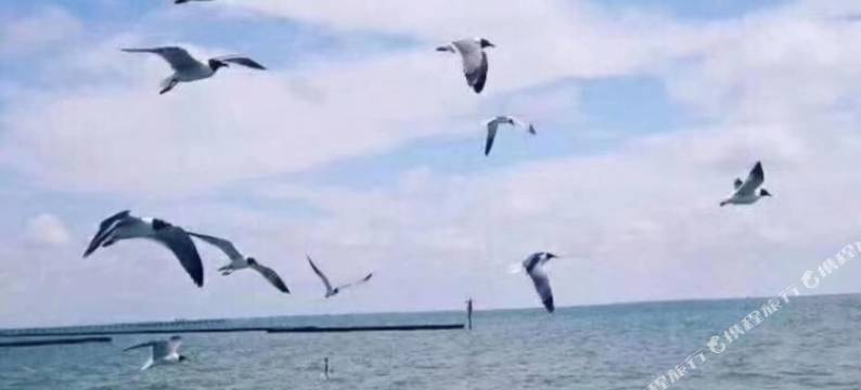 白沙湾大酒店(盖州二部)图片