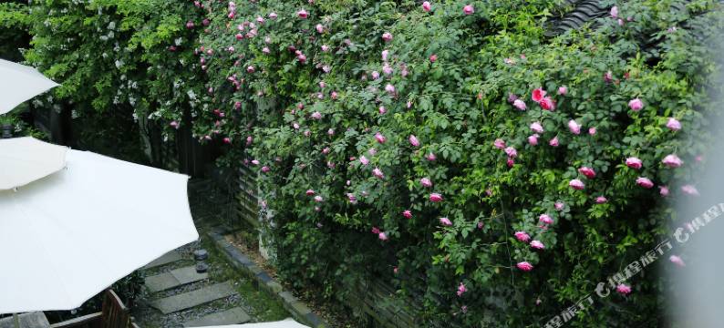 兰溪昱栈民宿图片