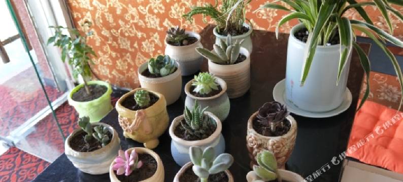 色达了了宾馆图片