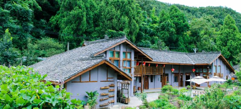 阆中野舍天下五龙民宿图片