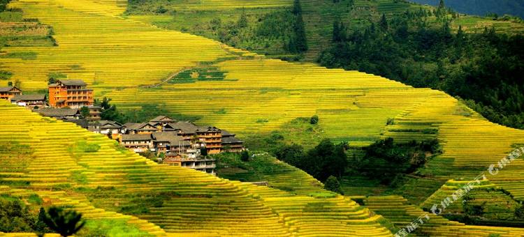 龙胜山景楼客栈图片