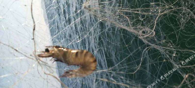 南澳梦海渔家图片